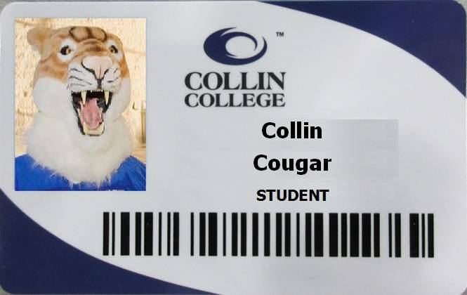 Collin College ID card