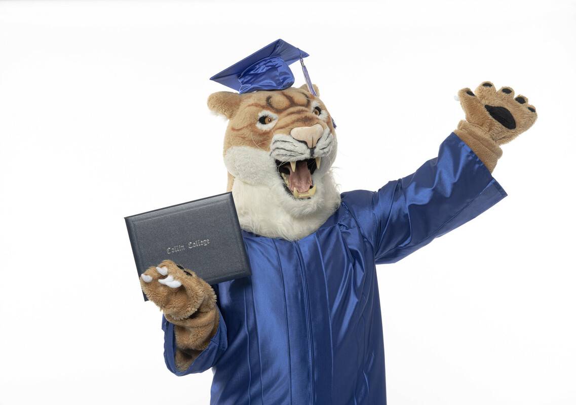 Collin Cougar Graduation