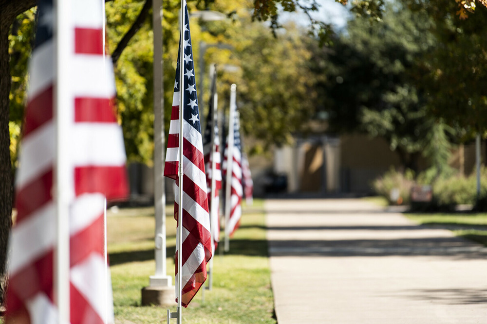 Flags fly no Collin College campuses to celebrate Veterans Day