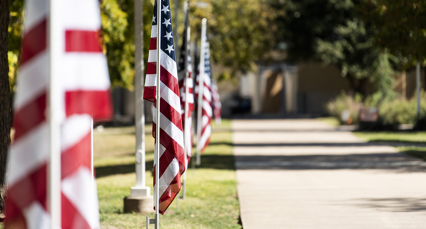 Miniature U.S. flags like the ones pictured will adorn the walkaways and encircle Collin College's Frisco Campus during Veterans Week.