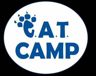 cat camp logo